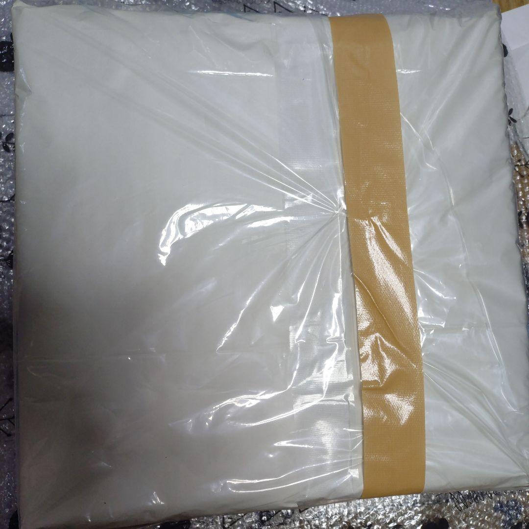 傳濱野　ミーティア　 ハンドバッグ