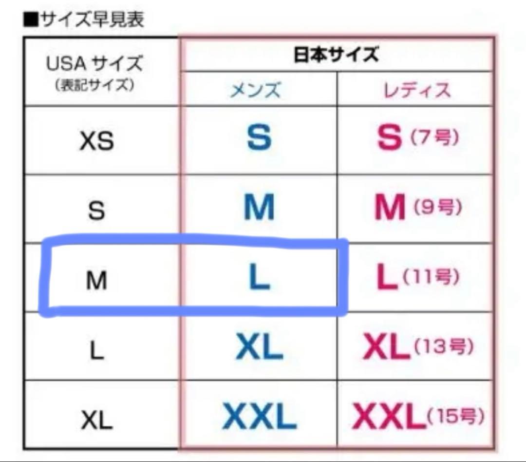 【極美品】 VOLCOM ボルコム　L GORE-TEX　ゴアテックス　パンツ