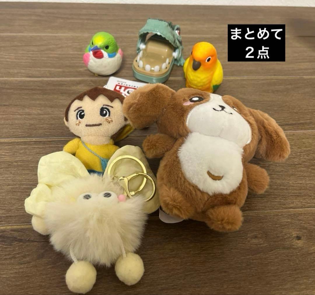 raccoちゃん♡（先入6.5点）