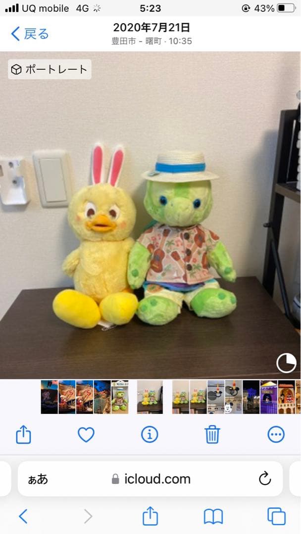 ウサピヨ、オル君