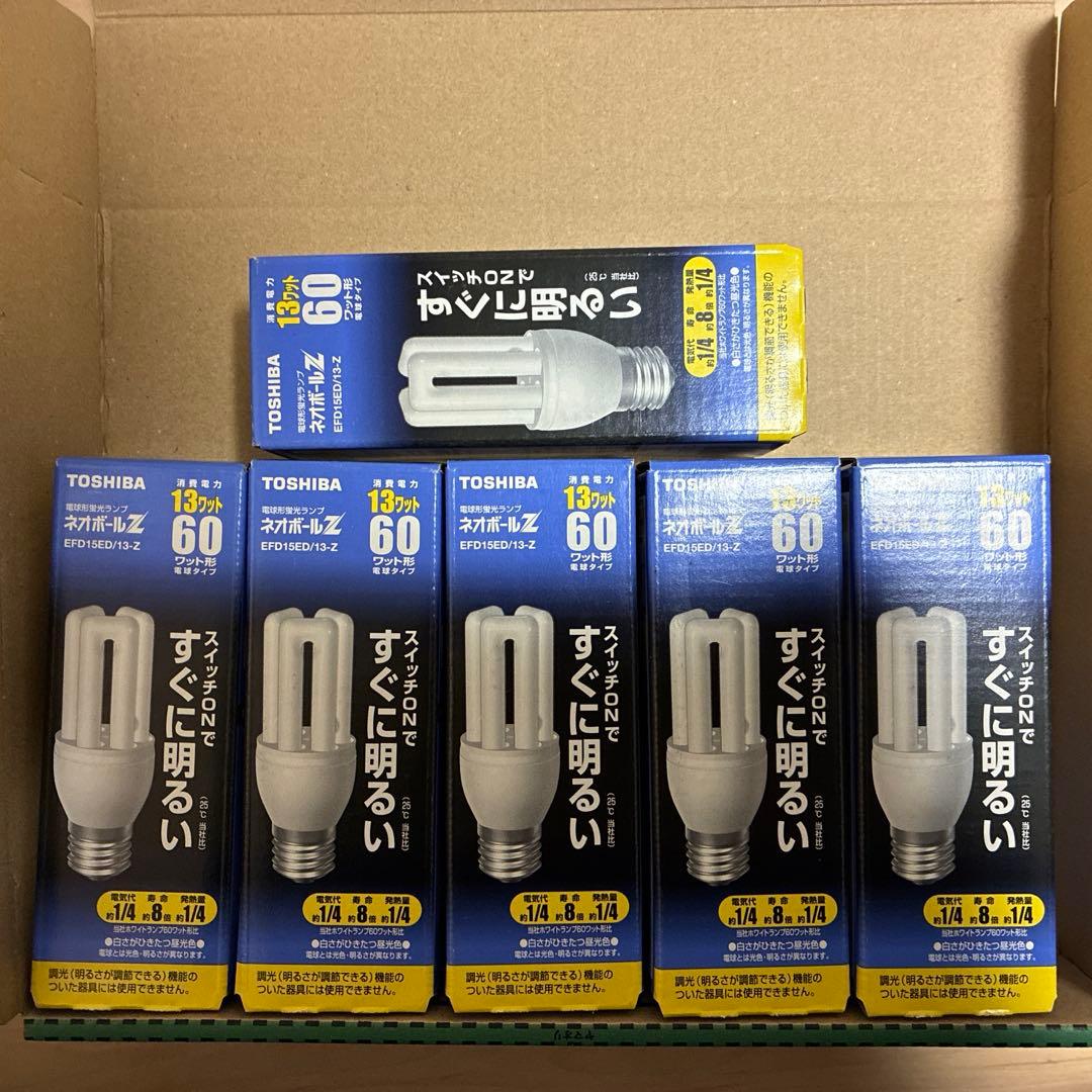 富士の輝き　東芝 ネオボールZ EFD15ED/13-Z