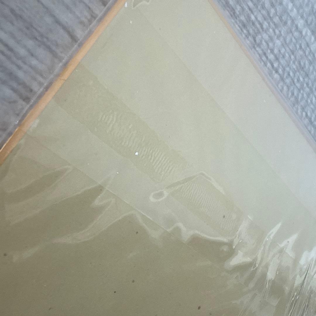 長嶋茂雄／直筆サイン色紙【 監督時代うちわ付き】