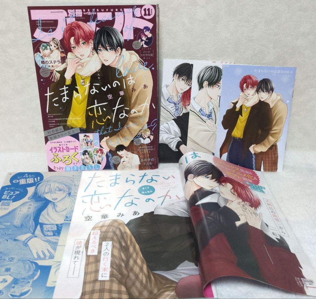 たまらないのは恋なのか∥雑誌∥切り抜き