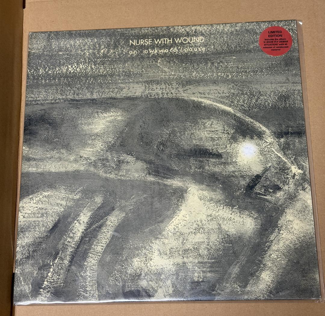 LP Nurse With Wound/An Awkward Pause 限定版