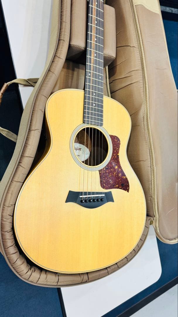 最終価格 Taylor GS Mini 限定 walnut