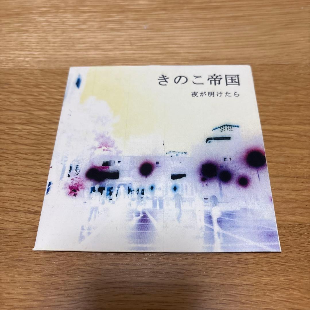 きのこ帝国　夜が明けたら