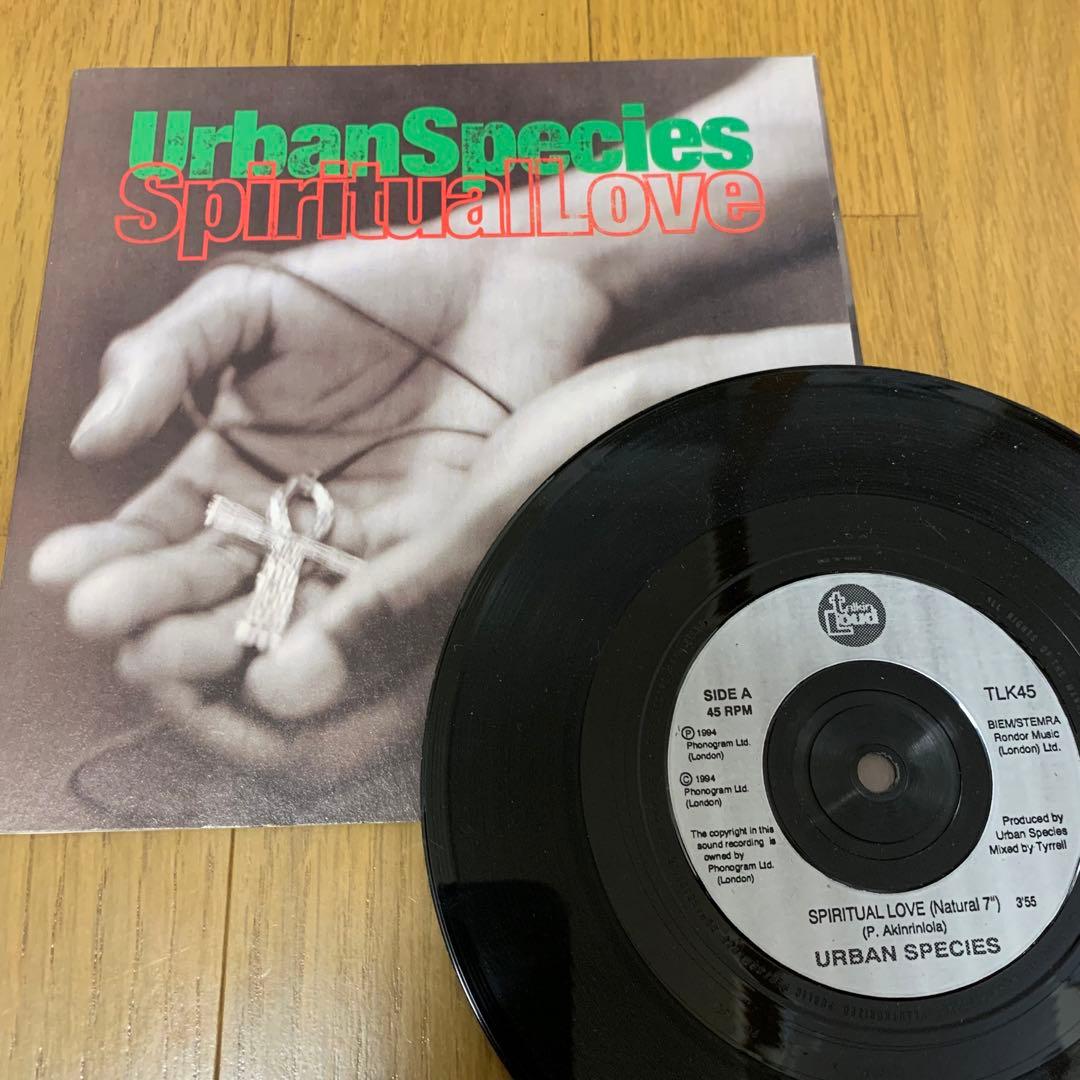 洋楽 Urban Species / Spiritual Love 7inch R&B