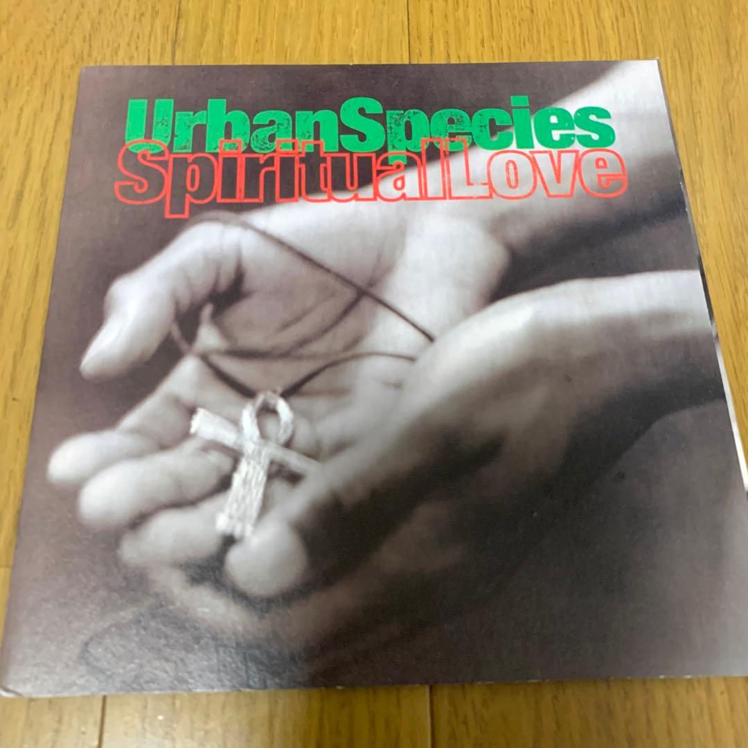 洋楽 Urban Species / Spiritual Love 7inch R&B