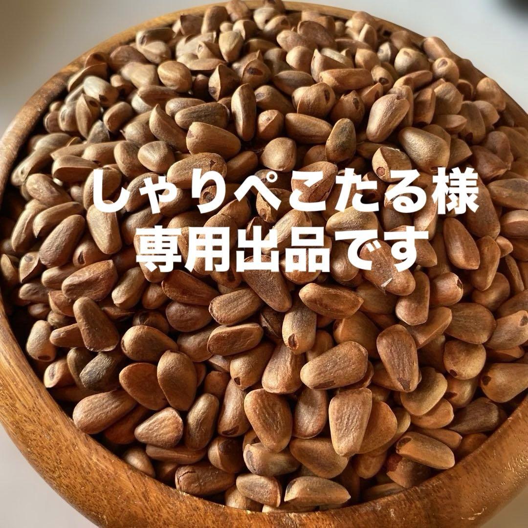 殻付き松の実2キロ