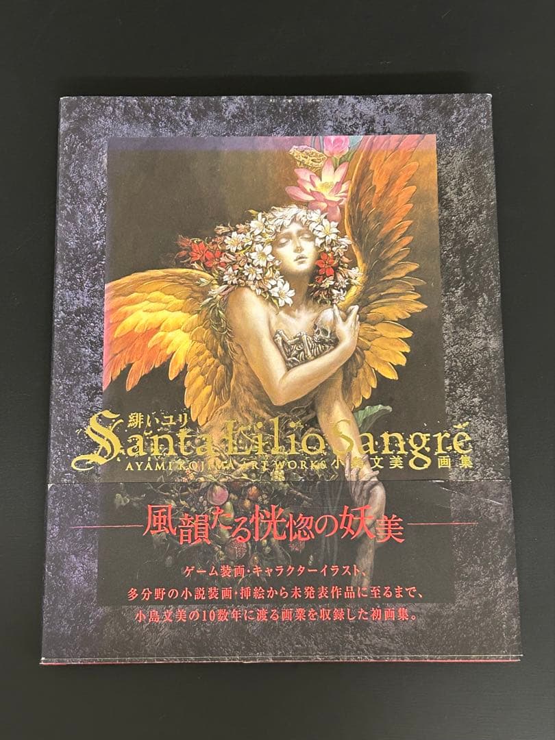 小島文美 画集 緋いユリ Santa Lilio Sangre