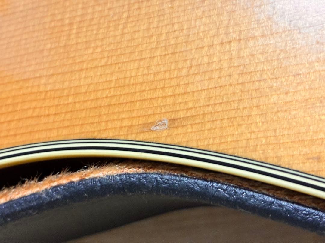 ギター Cat's Eyes CE-600