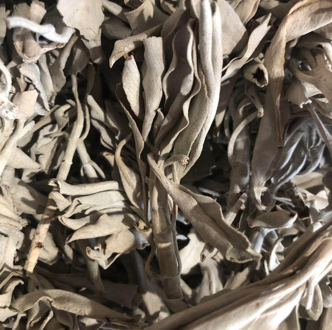 激安価格タイムセール☆無農薬ホワイトセージ枝付きクラスター1KG業務用価額お得