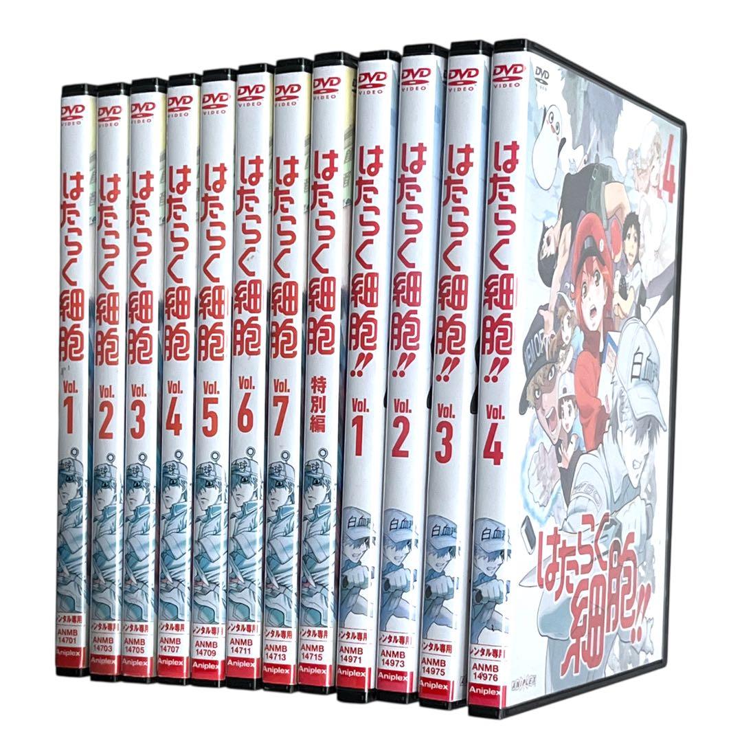 新品ケースDVD 「 はたらく細胞 」 1期・特別編・2期 全12巻 豪華セット