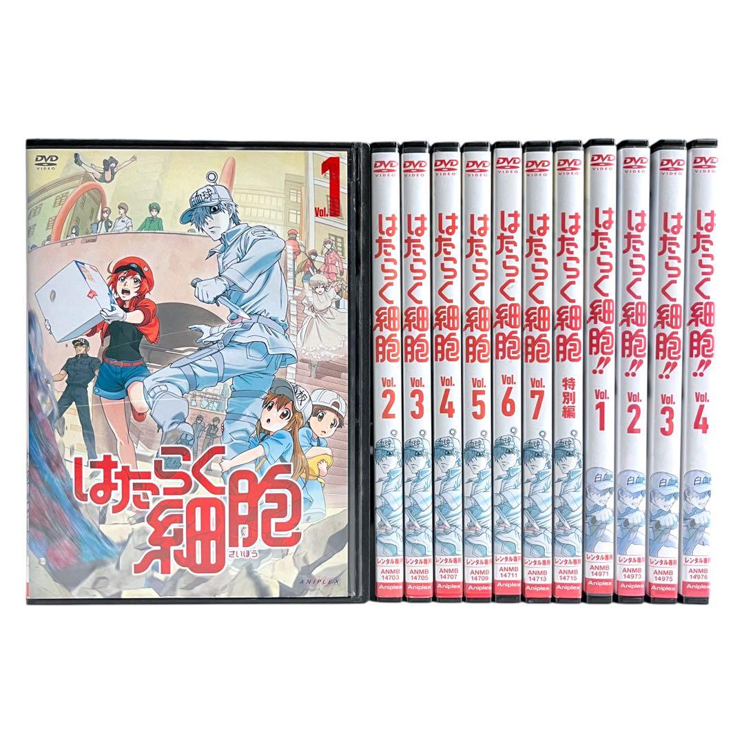 新品ケースDVD 「 はたらく細胞 」 1期・特別編・2期 全12巻 豪華セット