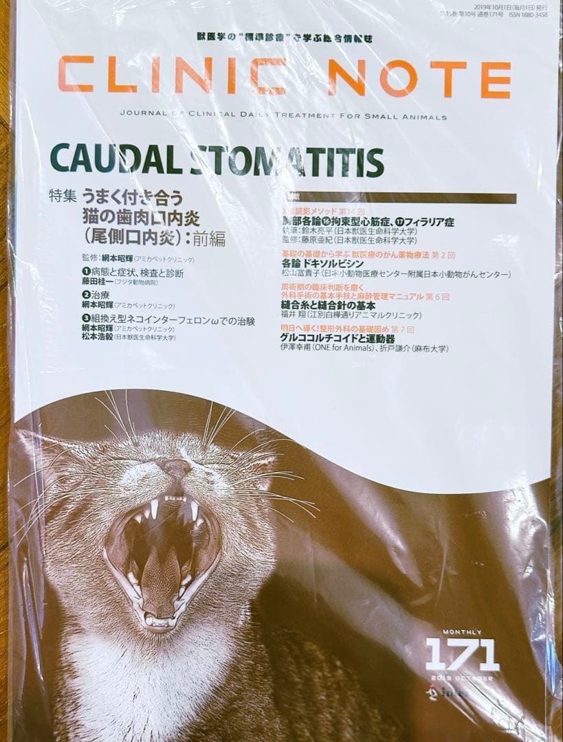 CLINIC NOTE 13冊セット　NO 164〜175 141