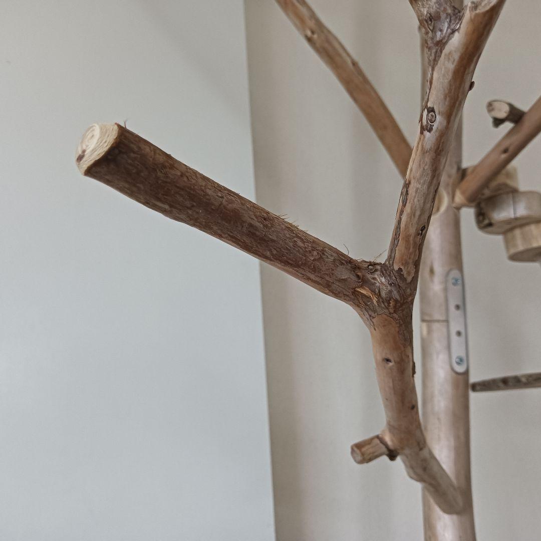 バードアスレチックジム大型 ⑫ 天然木 自然木 流木 インコ おもちゃ