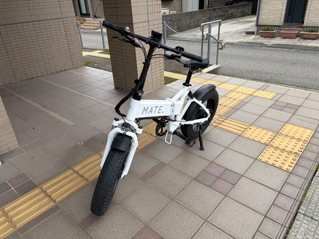 MATE X 250 日本未発売モデル