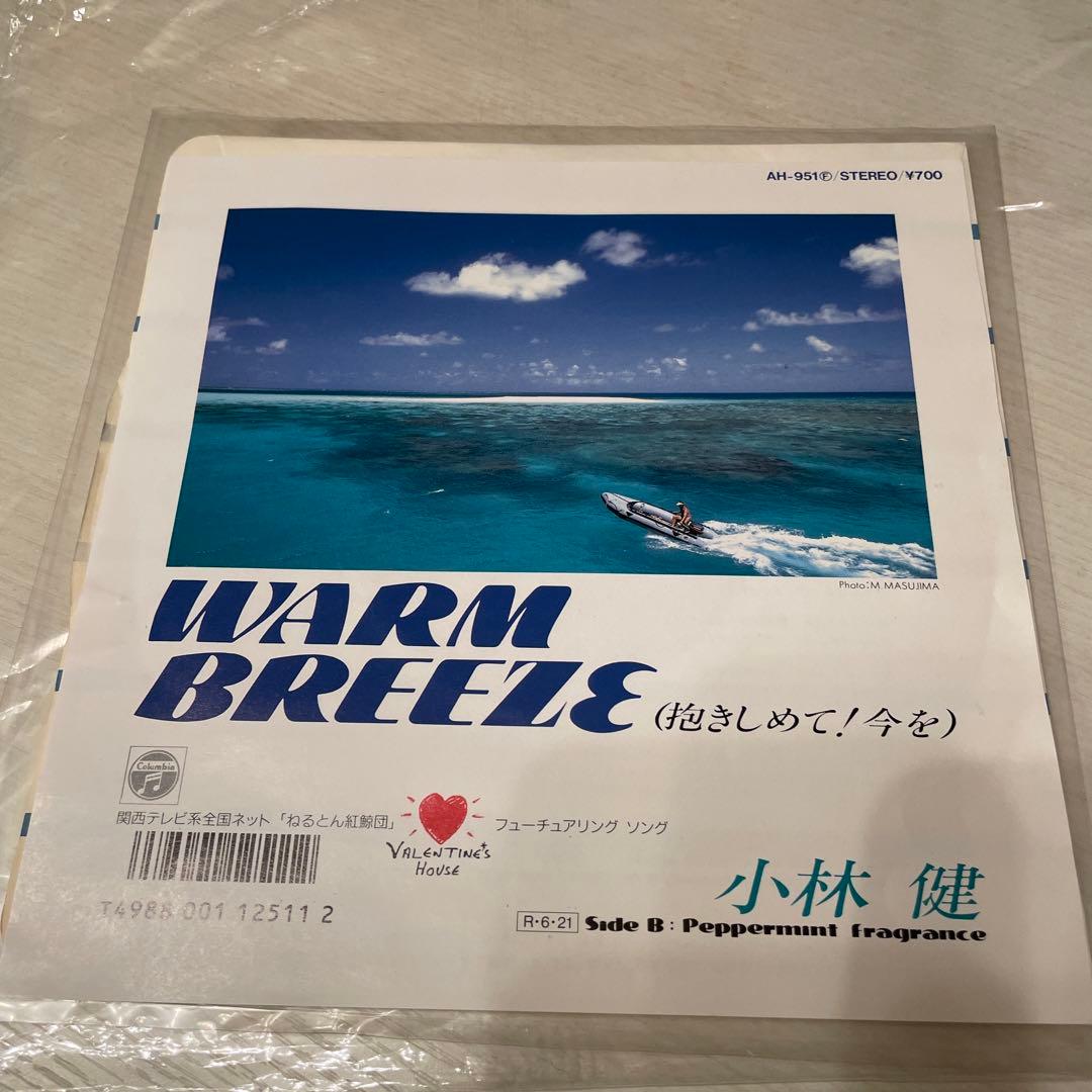 小林健　WARM BREEZE 抱きしめて！今を　EPレコード