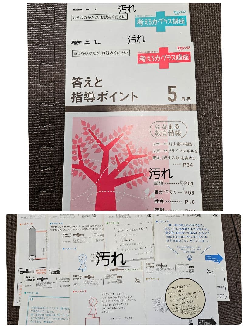 進研ゼミ 考える力プラス 小学講座 オプション 2年生 にゃっち