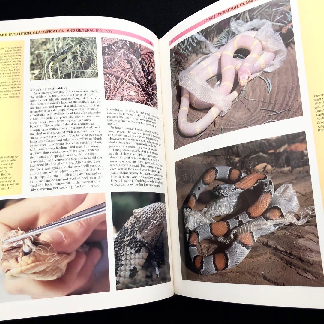 世界ヘビ図鑑「The Atlas of Snakes of the World」