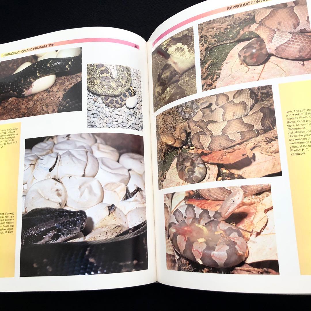 世界ヘビ図鑑「The Atlas of Snakes of the World」