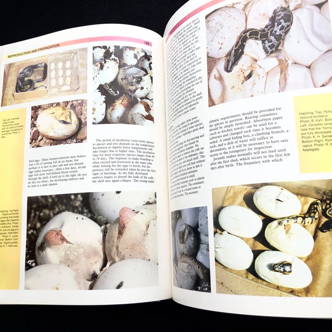 世界ヘビ図鑑「The Atlas of Snakes of the World」