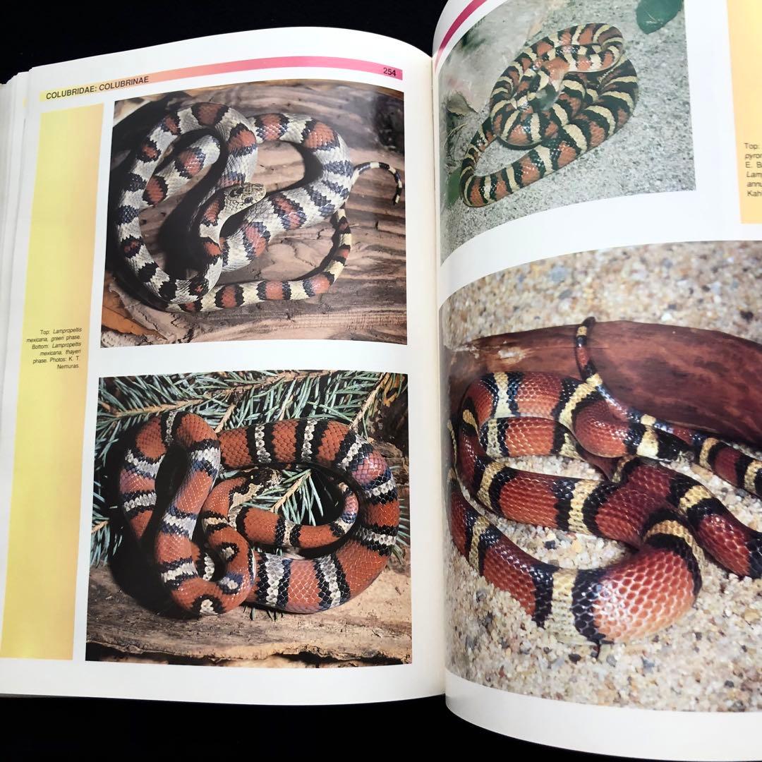 世界ヘビ図鑑「The Atlas of Snakes of the World」