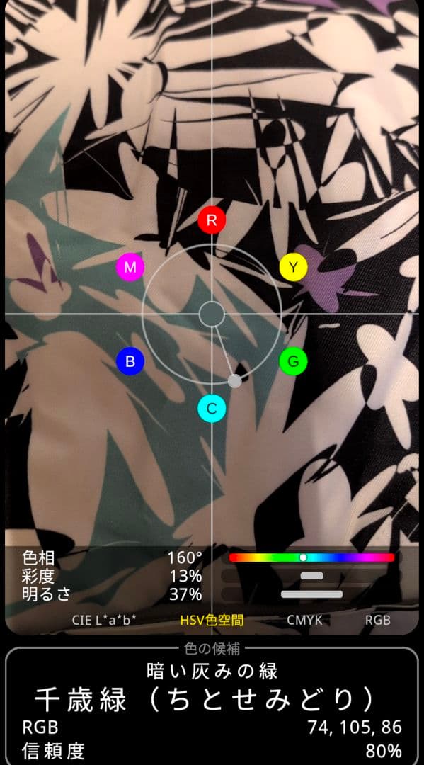 スノーボードウェア 女性用 多色デザイン