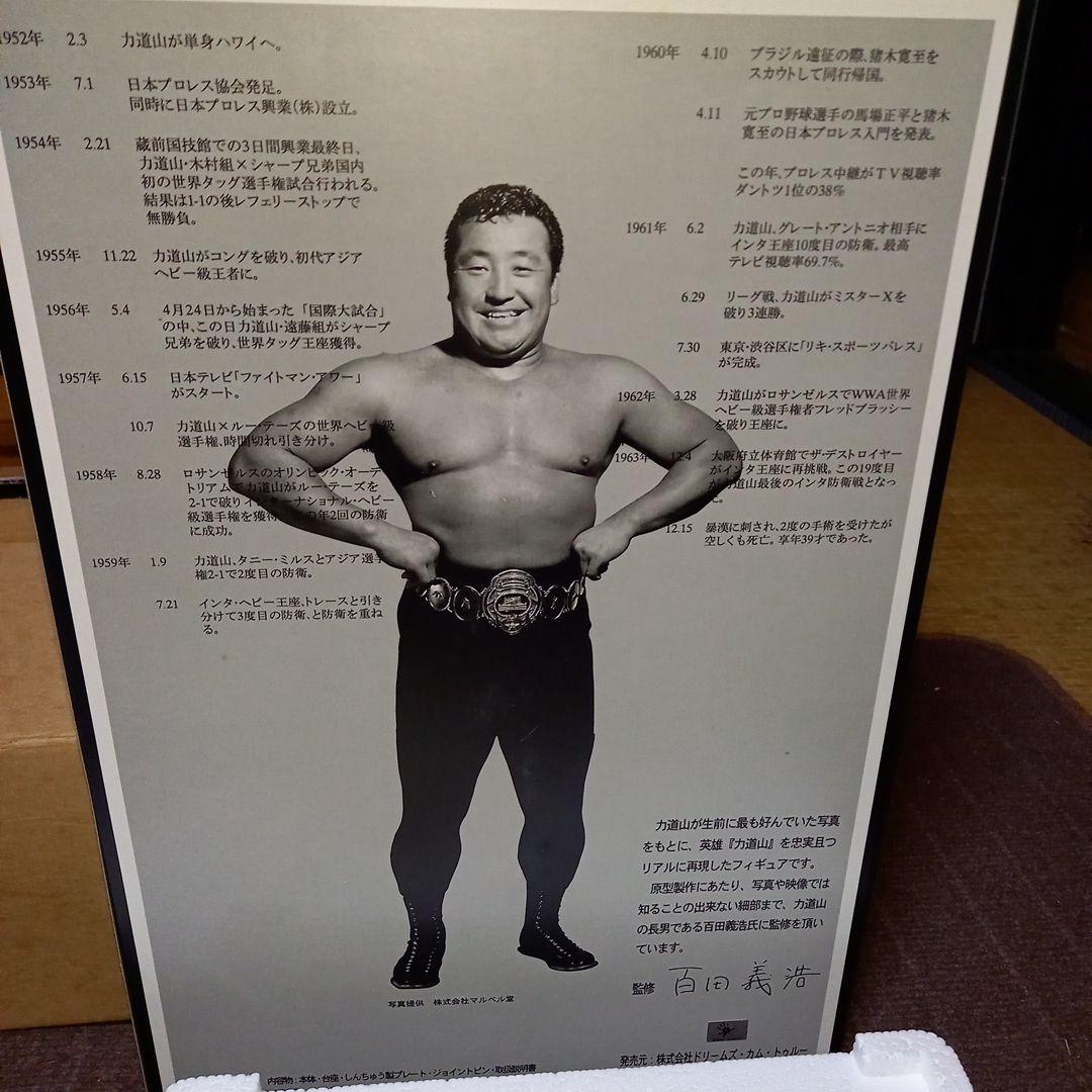 力道山500体限定フィギア シリアルナンバー197番