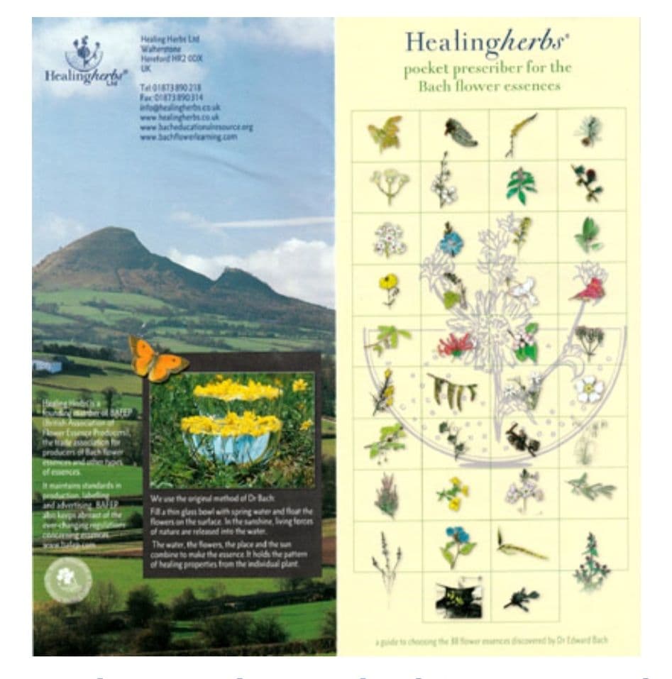 【01/2036】フラワーエッセンスのフルセットと専用木箱♪ヒーリングハーブス社