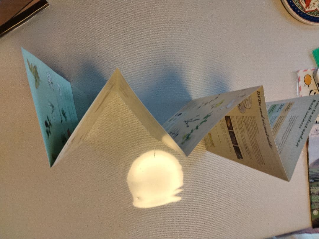 【01/2036】フラワーエッセンスのフルセットと専用木箱♪ヒーリングハーブス社