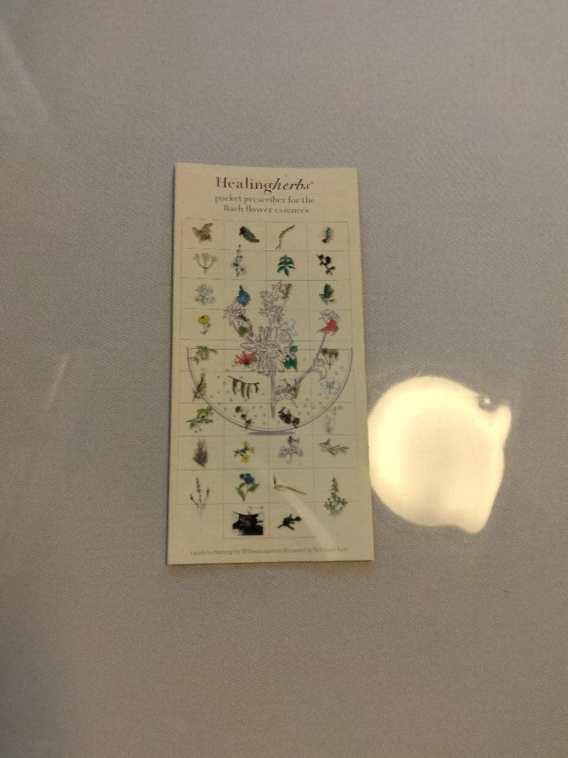 【01/2036】フラワーエッセンスのフルセットと専用木箱♪ヒーリングハーブス社