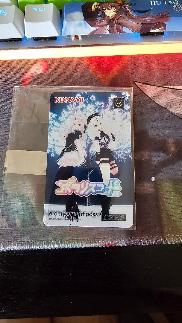 その他 HIMEHINA E AMUSEMENT PASS