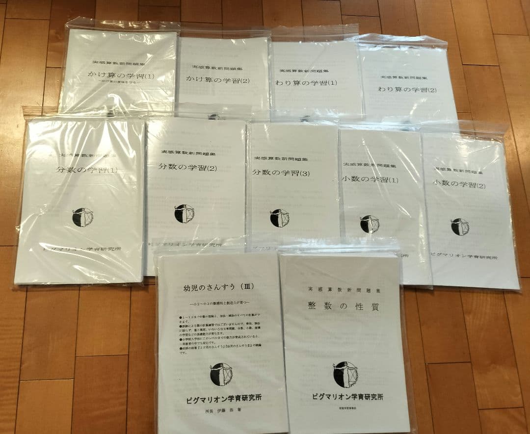 ピグマリオン　かけ算/わり算/分数/小数/整数/幼児のさんすうⅢ