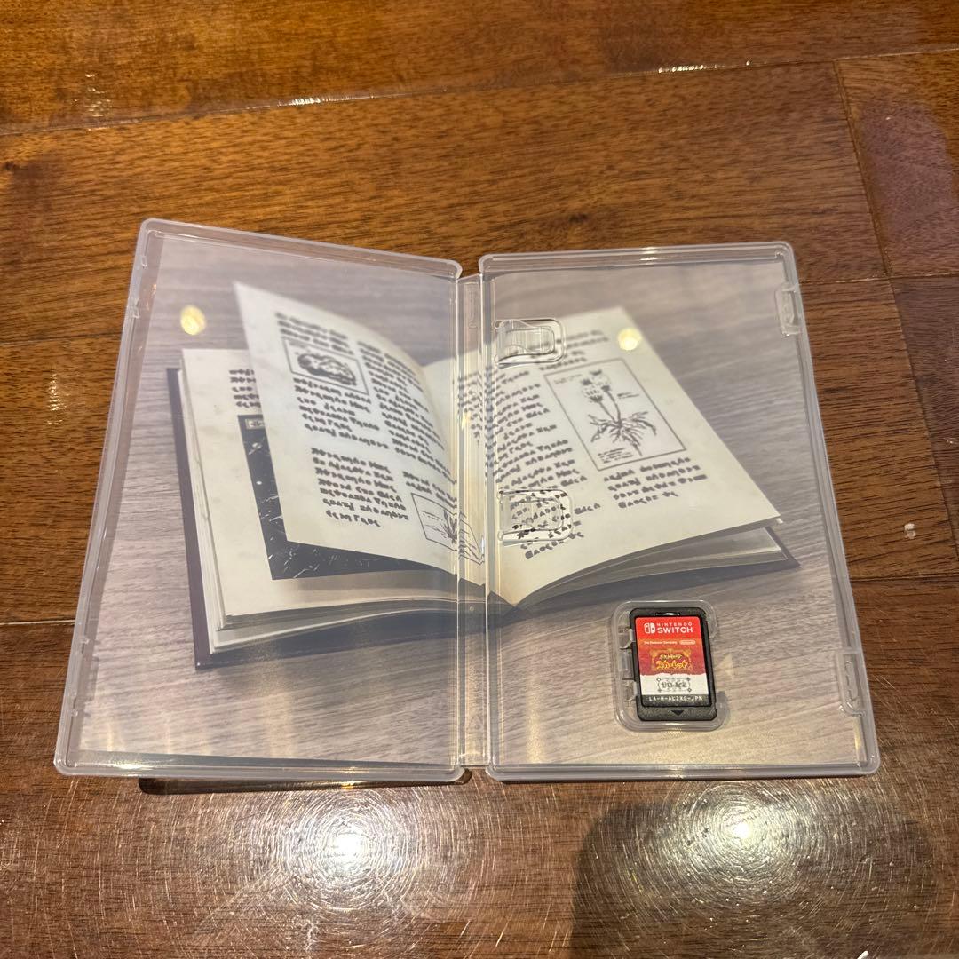 ポケモン　スカーレットゼロの秘宝