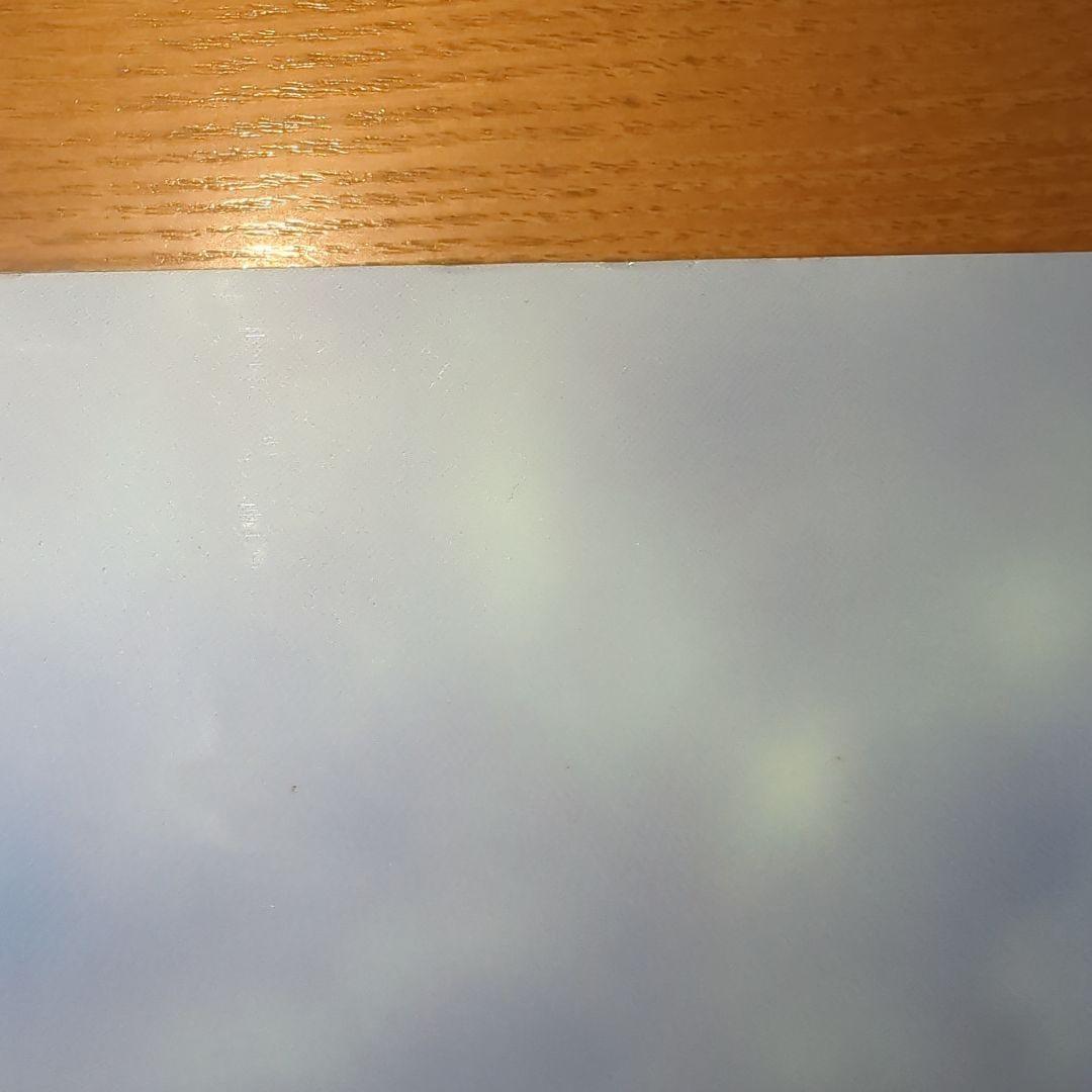 フランス競馬百年史