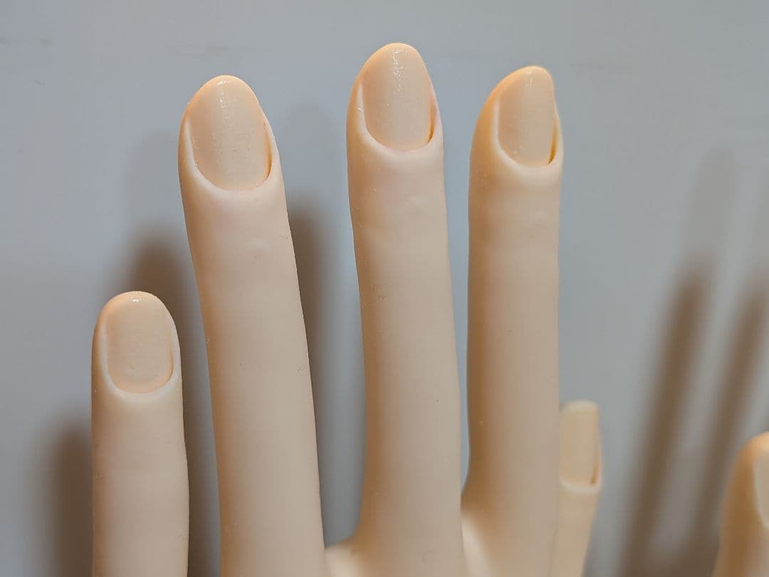 ネイリスト技能検定　認定モデルハンド