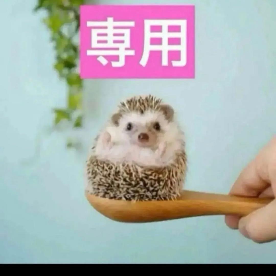 2点、カプチュールリッチクリーム、カプチュールアイセラム