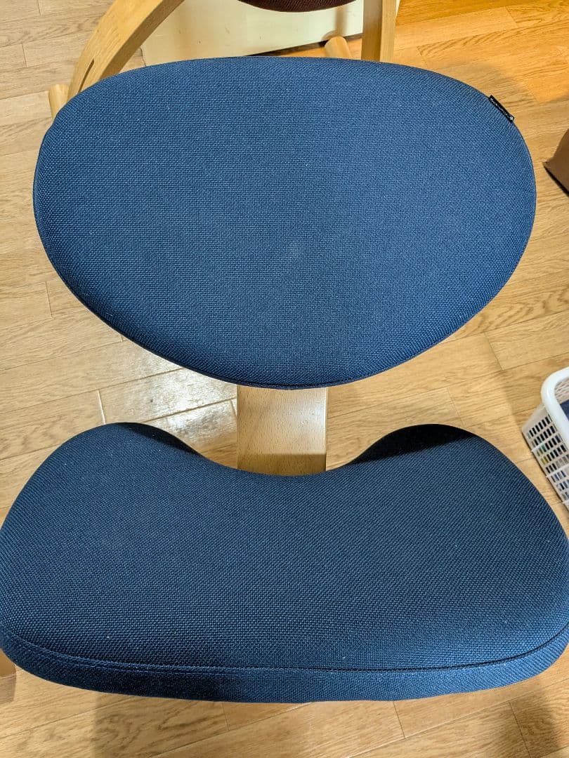 ★ほしちゃんさま専用★サカモトハウス バランスイージー 2台