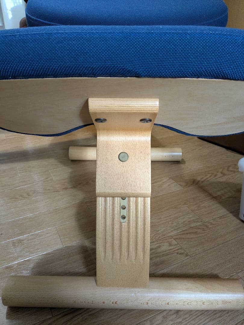 ★ほしちゃんさま専用★サカモトハウス バランスイージー 2台