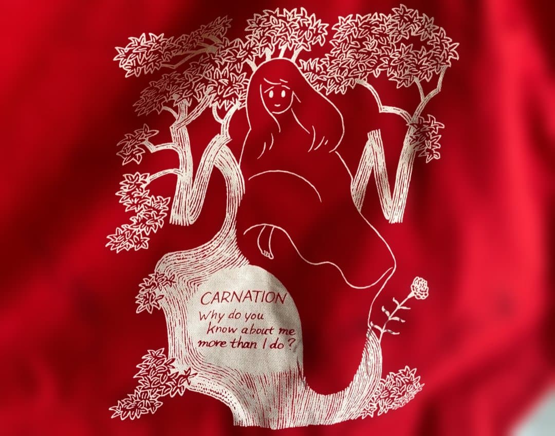 超希少『究極のカーネーション CARNATIONセット』DX仕様2枚組CD7枚他