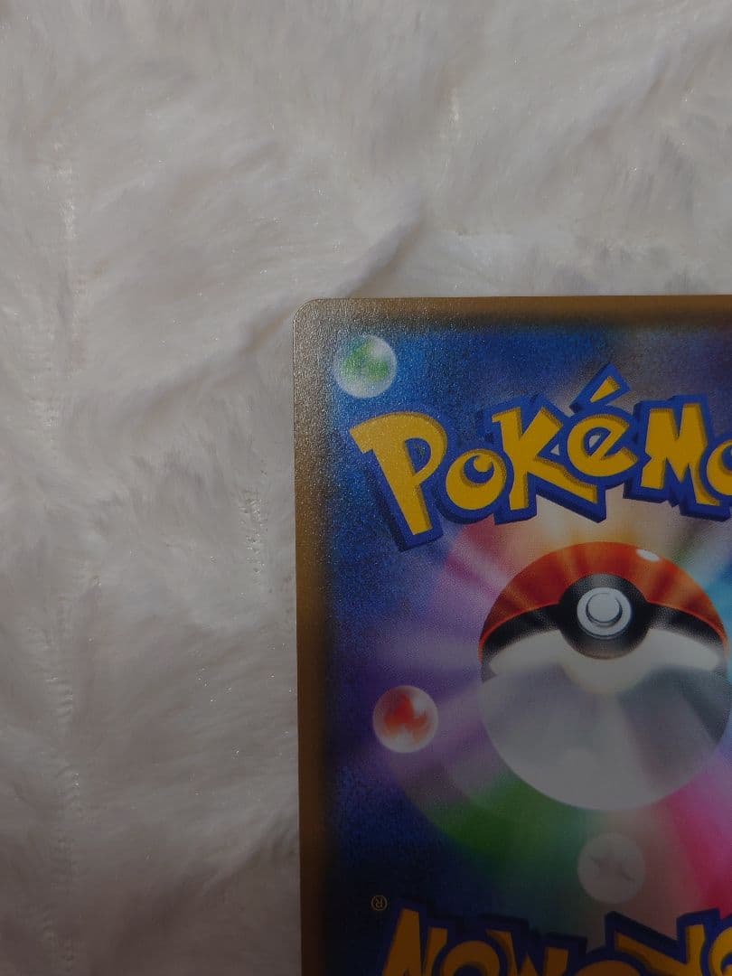 ポンチョを着たイーブイ サンダース