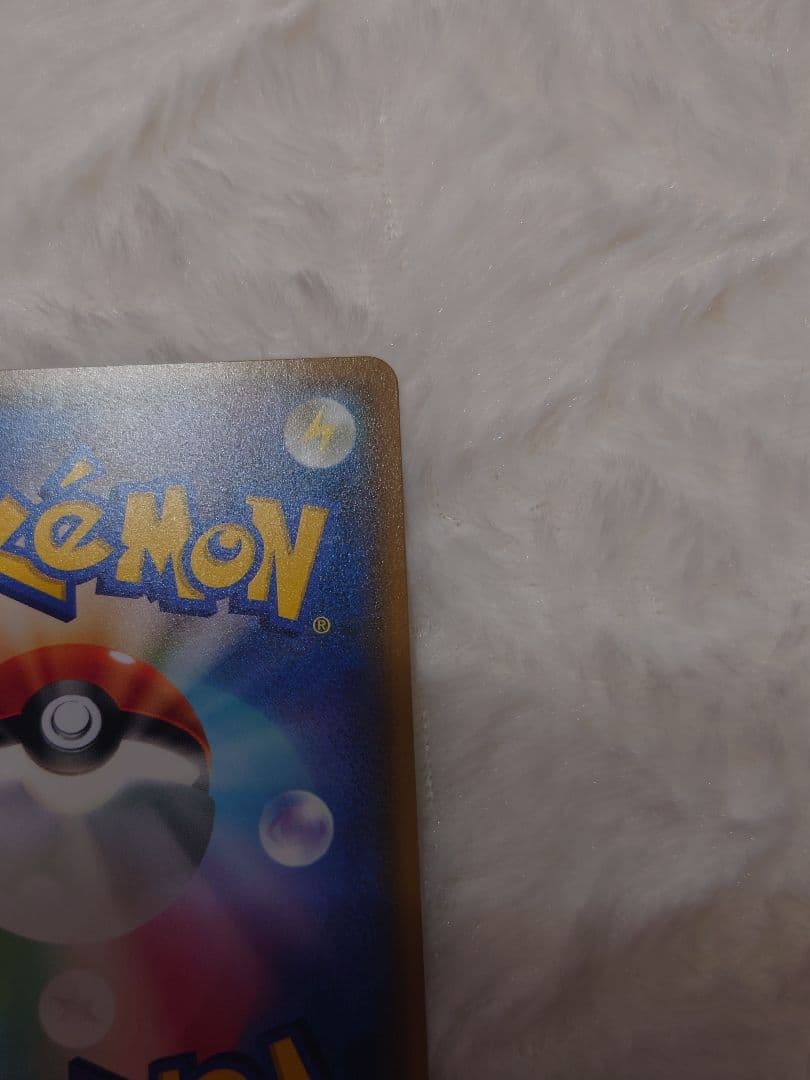 ポンチョを着たイーブイ サンダース