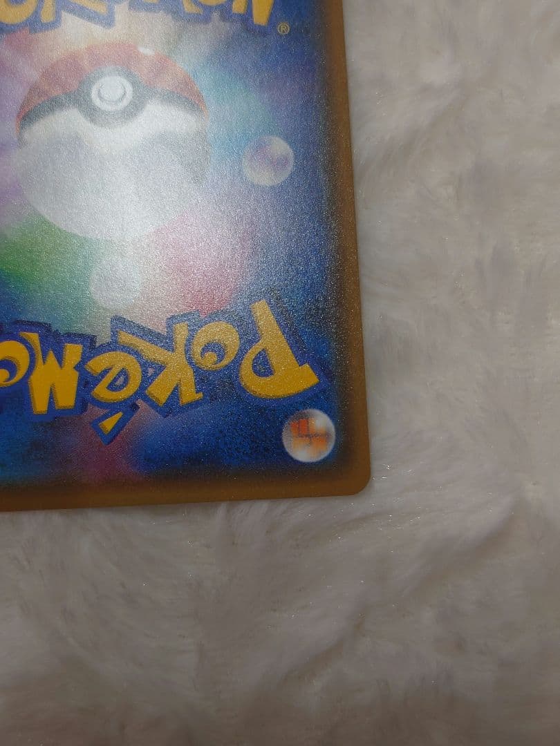 ポンチョを着たイーブイ サンダース