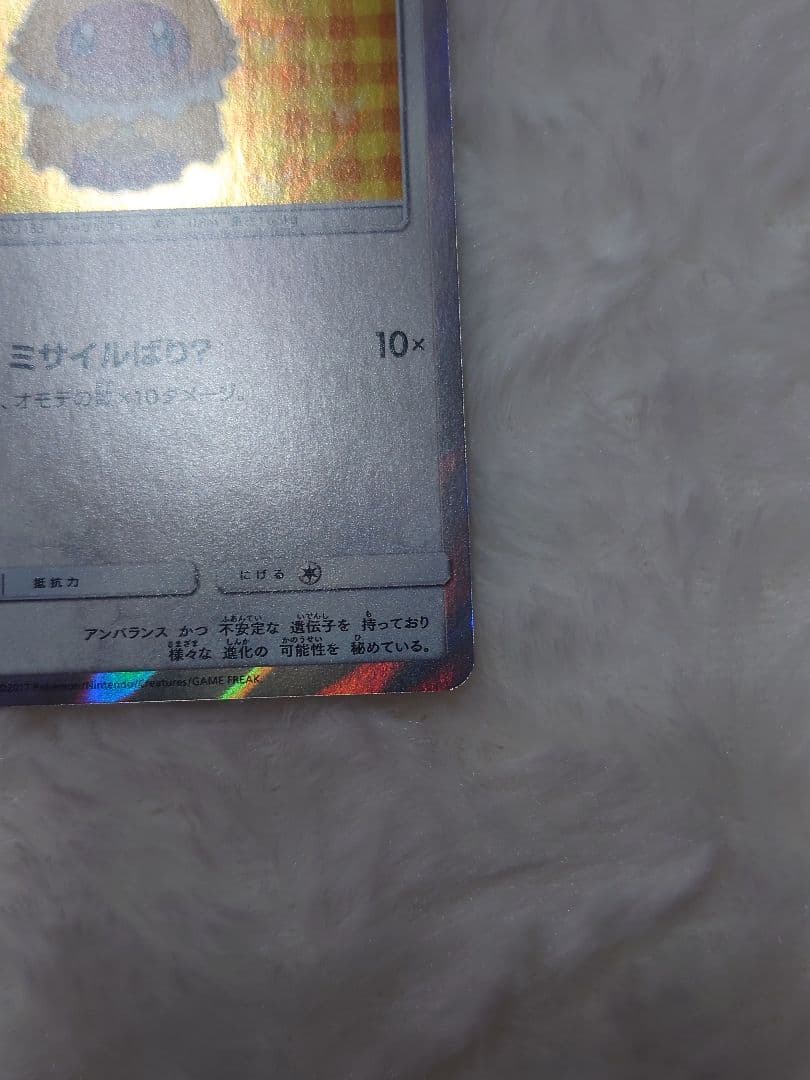 ポンチョを着たイーブイ サンダース