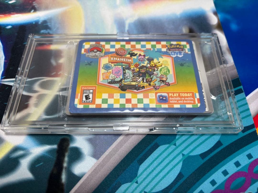 パラダイスリゾート2025