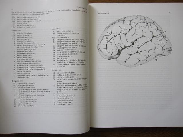 洋書 Duvernoy The Human Brain Second edition