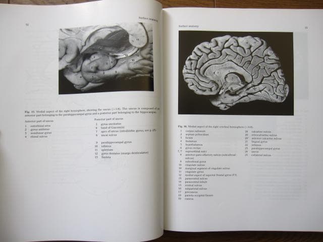 洋書 Duvernoy The Human Brain Second edition