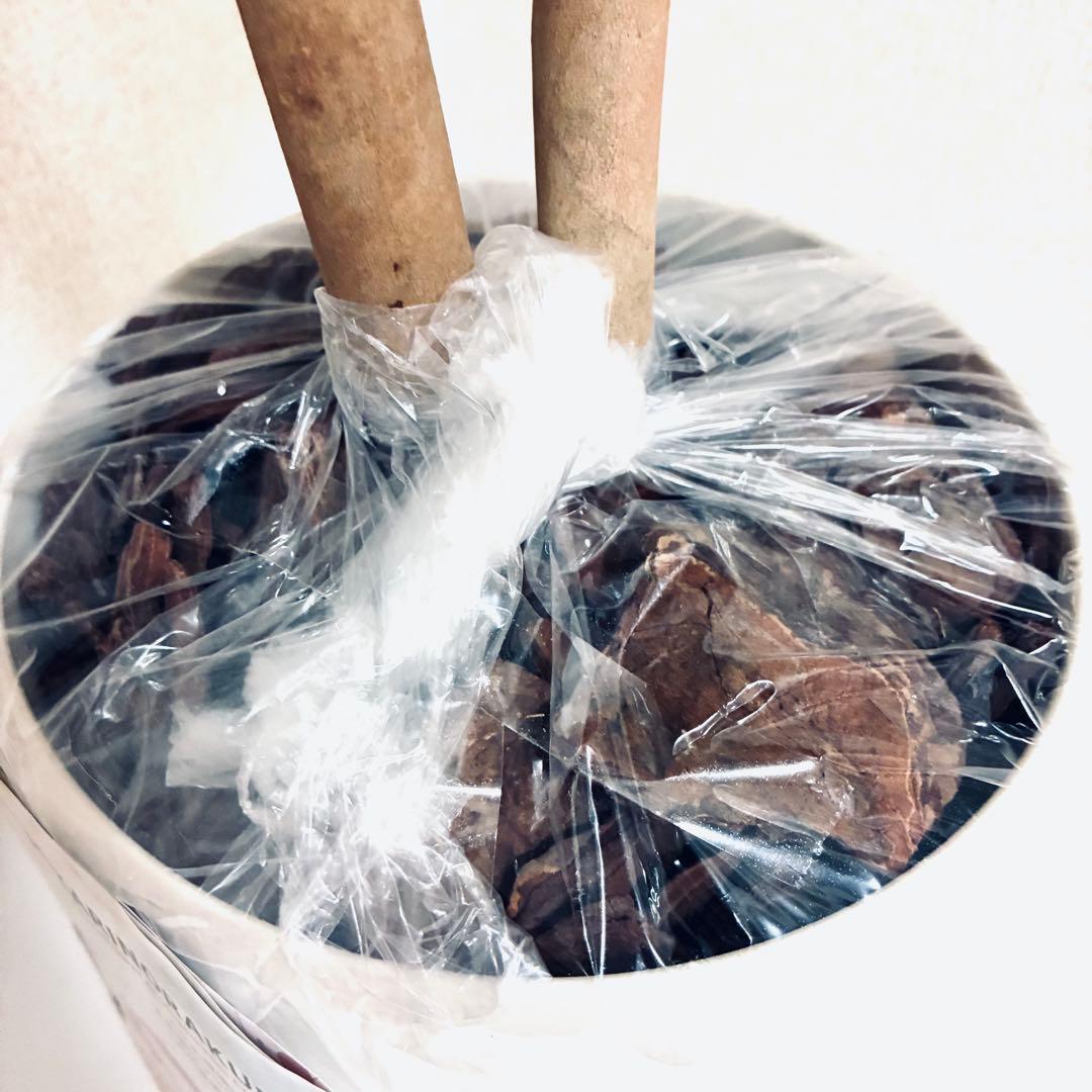 フェイクグリーン　オリーブ　人工観葉植物　光の楽園