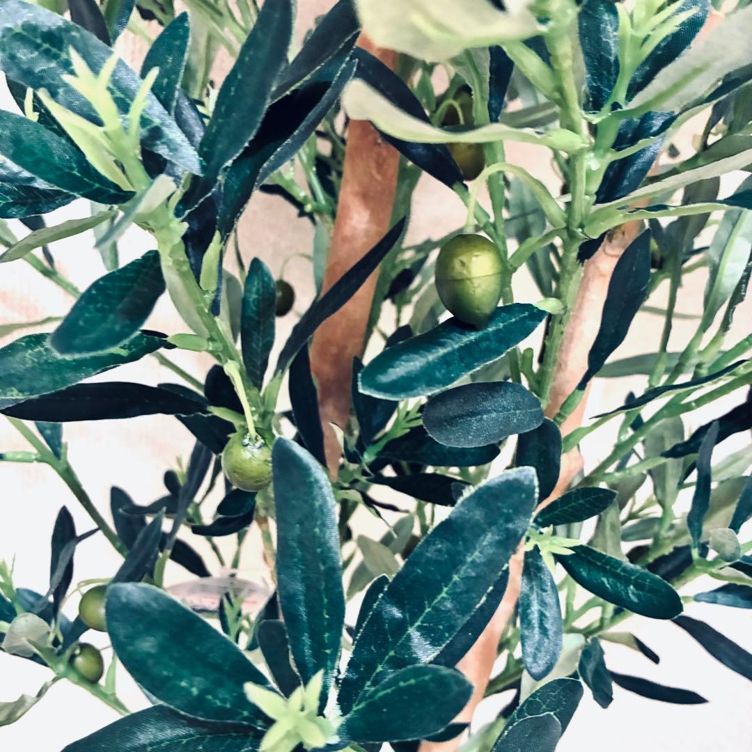 フェイクグリーン　オリーブ　人工観葉植物　光の楽園